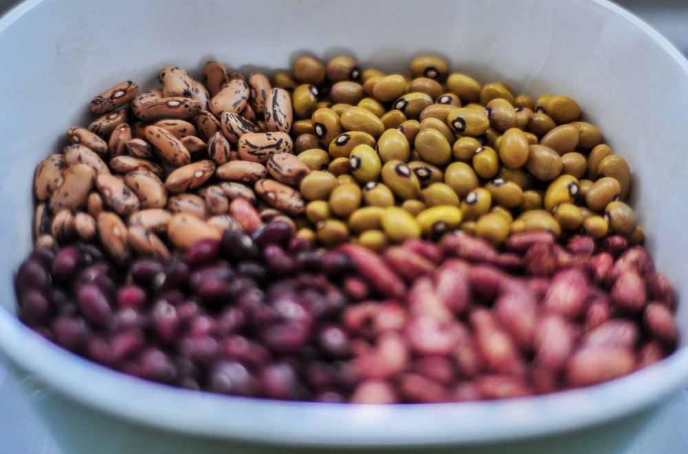AfricanConserve's tweet image. #LastingSolution! Pre-cooked #beans could turn down heat on Africa's dwindling #forests @PreCookedBeans reuters.com/article/us-uga…