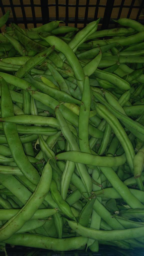 JuliansMarket's tweet photo. Its a #Christmasmiracle! We have #fresh half runners! @DowntownHWV #shoplocal #smallbussiness https://t.co/eEMe0McCTY