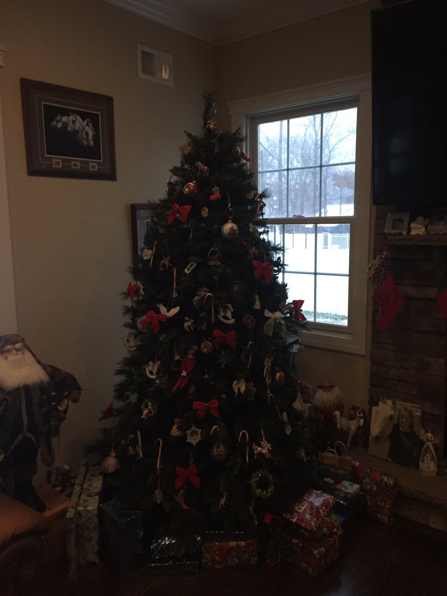 crhs173's tweet photo. 8 days til Christmas!!! #crhsism https://t.co/28mNSfTdDz