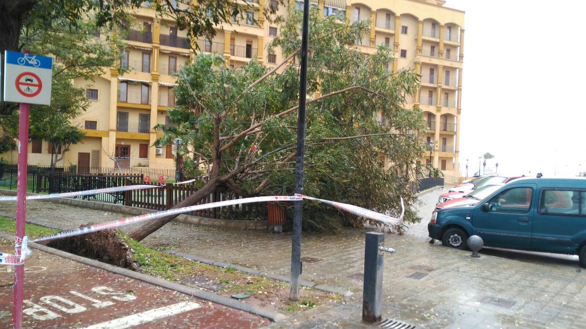 PoliciaAlboraia's tweet photo. El #TemporalAlboraya deja huella en PORT SAPLAYA @ayto_alboraya https://t.co/JgmmjGSSZr