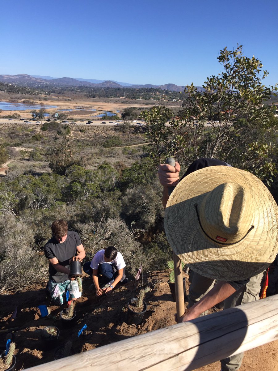 rbvtrees's tweet image. Lagoon platoon was a success!! We did have a few cacti prick us though 😬🌵🌳