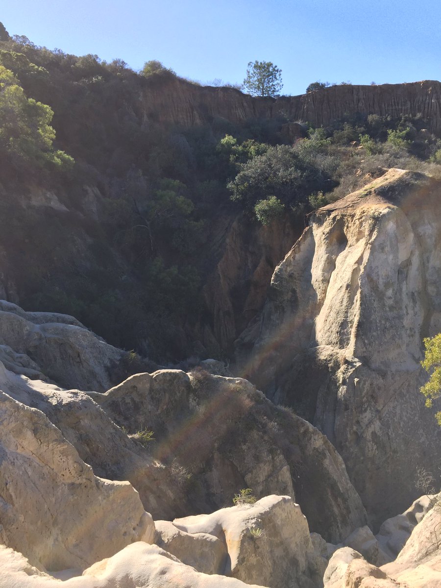 rbvtrees's tweet image. Lagoon platoon was a success!! We did have a few cacti prick us though 😬🌵🌳