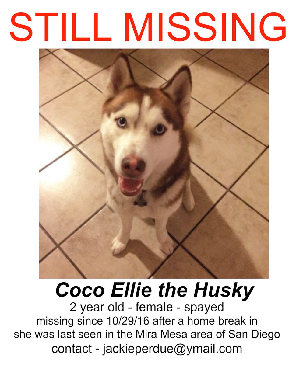rjackie139's tweet image. #BringCocoHome #FindCocoEllie @JaaackJack