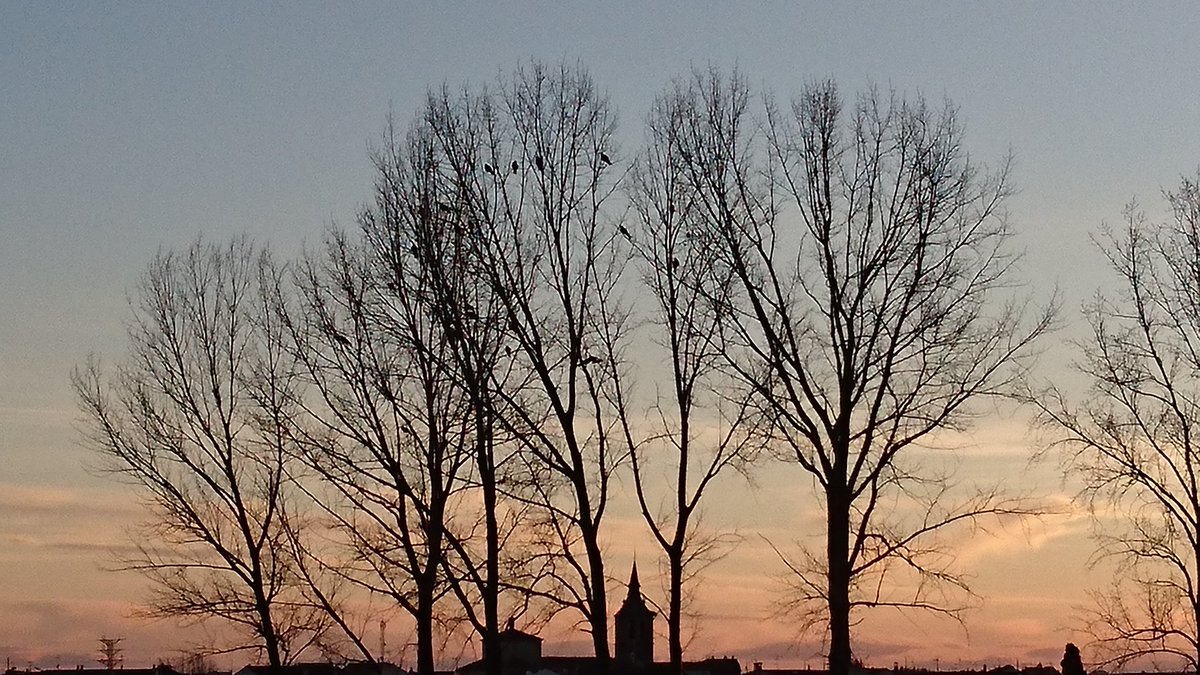 pillo_david's tweet photo. @ELTIEMPO fría tarde de otoño @navalmanzano @Segovia @AEMET_CyL https://t.co/GtkgO1Gm1j