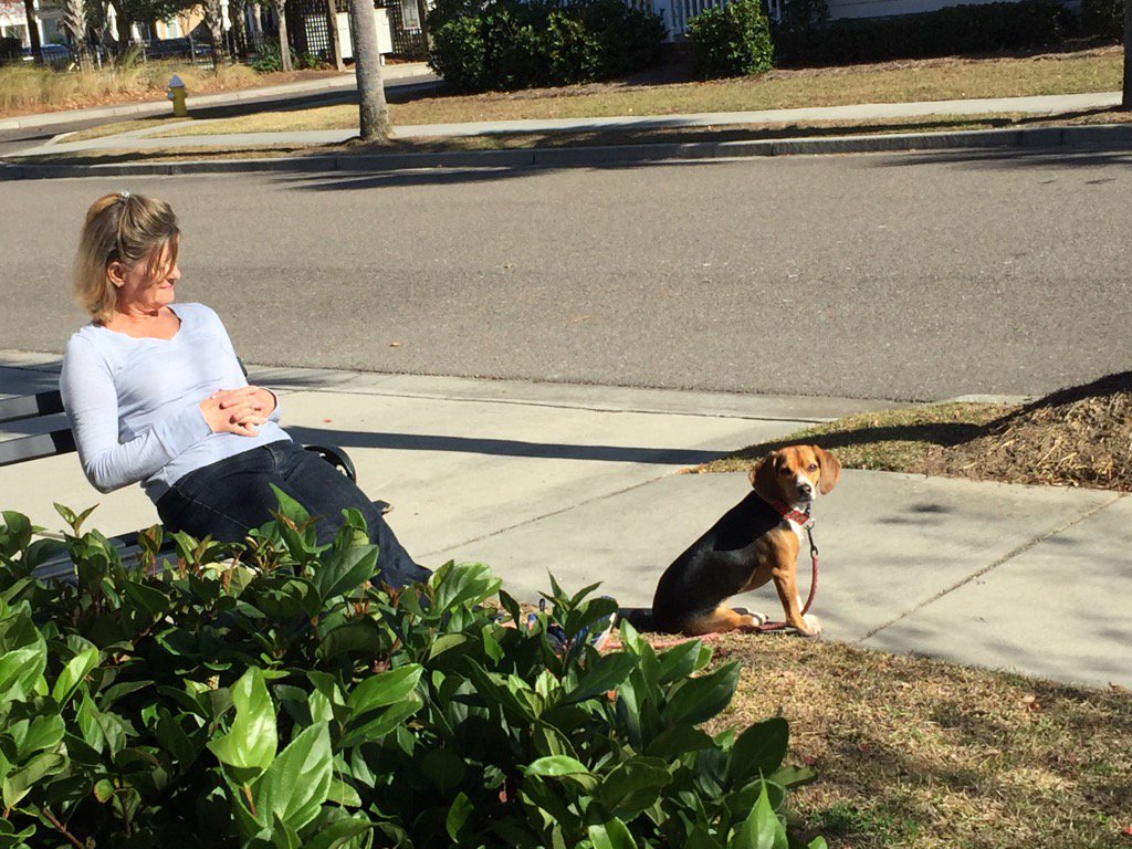 craigmassey6's tweet photo. #its70degrees #ilovecharleston https://t.co/ZUosbgEWbe