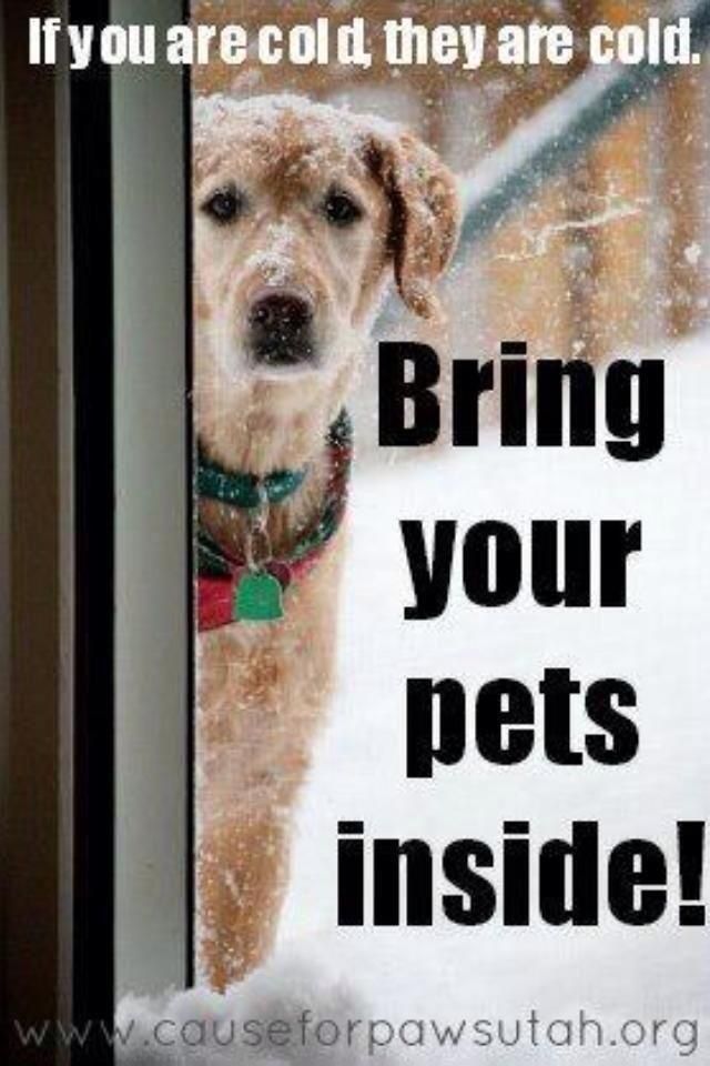 ShaulTurner's tweet photo. HIGH OF 1 DEGREE TODAY.  -12 WIND CHILL..
@KDVR #cowx https://t.co/EChSrmIWW4