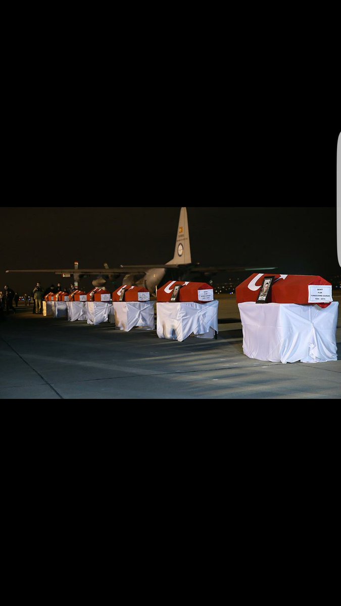 Toz kanatlı kelebekler. analarının süt kokulu kuzulari.her biri 20 yaşında kocaman "Çınarlar", kökleri vatan topragının en derinine salınan.