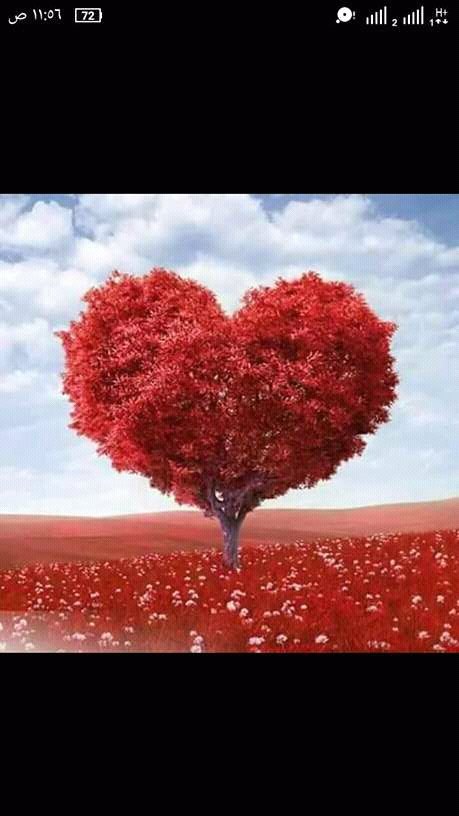 sakhamissa's tweet photo. @AislingCurtin https://t.co/WQDEe8QMmm