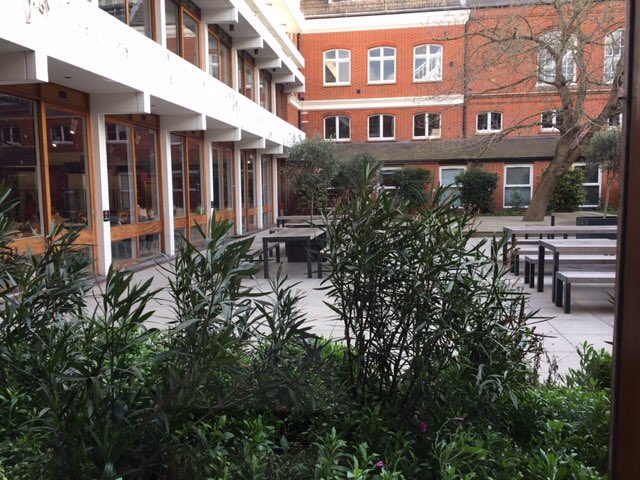 GoodShepherdCatholic tweet media