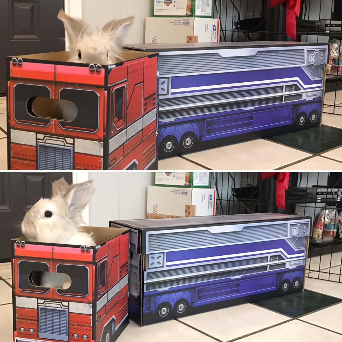 NinjainkArt's tweet photo. AUTOBUNS... Thumpsform and roll out! #optimusprime #boxesinaction #transformers #ninjaink #rabbit @boxesinaction https://t.co/xNbHvoCKdV