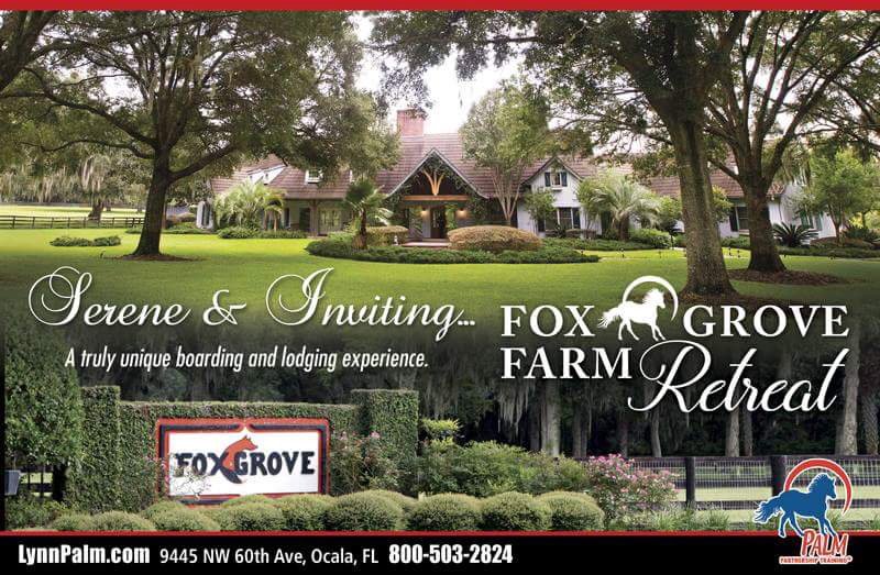 FoxGroveFarm's tweet image. Join us in #Ocala this winter! #FoxGroveFarmRetreat #winterinflorida #lynnpalm.com