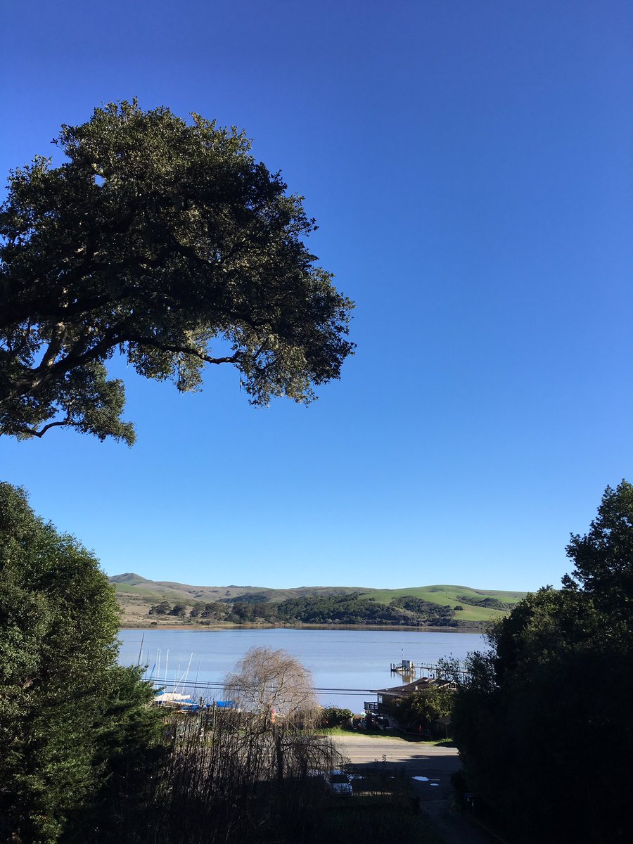 Just another humdrum morning in Inverness, CA. #NorCal