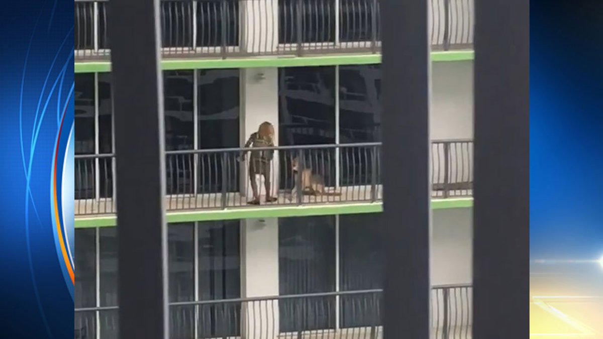 Prosecutors say viral video of alleged dog abuse is not evidence of crime fw.to/OTk0VcB https://t.co/f9X9D5ipES