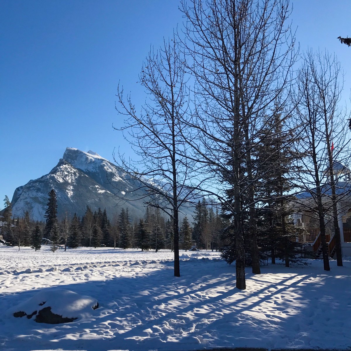 It might be a tad cold, but you can't beat these days! #nofilter #banff #banffnationalpark #bluebirddays #winter #christmas