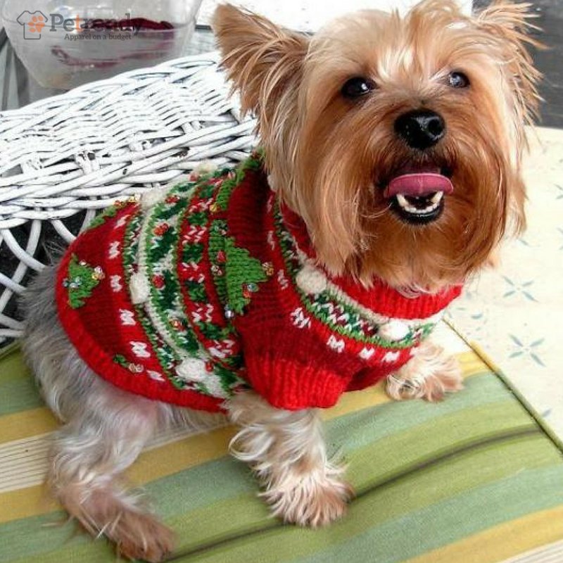Keep 'em cozy this #winter with a warm, cute sweater from <a href="/petrendy/">Petrendy</a> 
Purrfect for dogs &amp; cats!
ow.ly/P1343076S3F