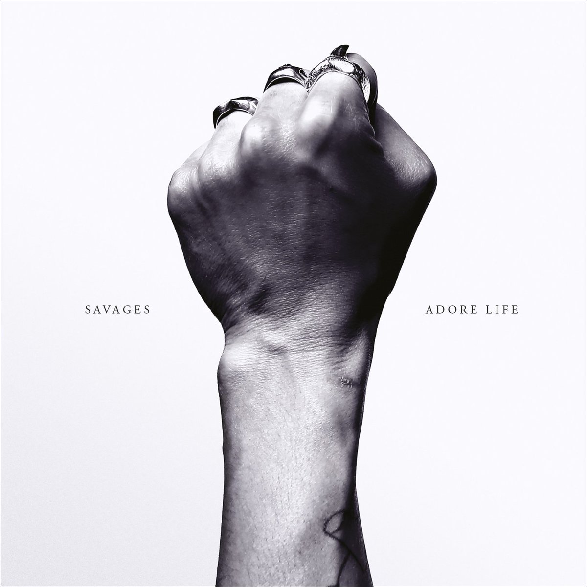 esunatrampa's tweet photo. Sobre el #AdoreLife de las @Savagesband (las nuevas consentidas de @esunatrampa).

Hermoso álbum.

https://t.co/ffvgD6EQp6 https://t.co/AhBDKvBOOI