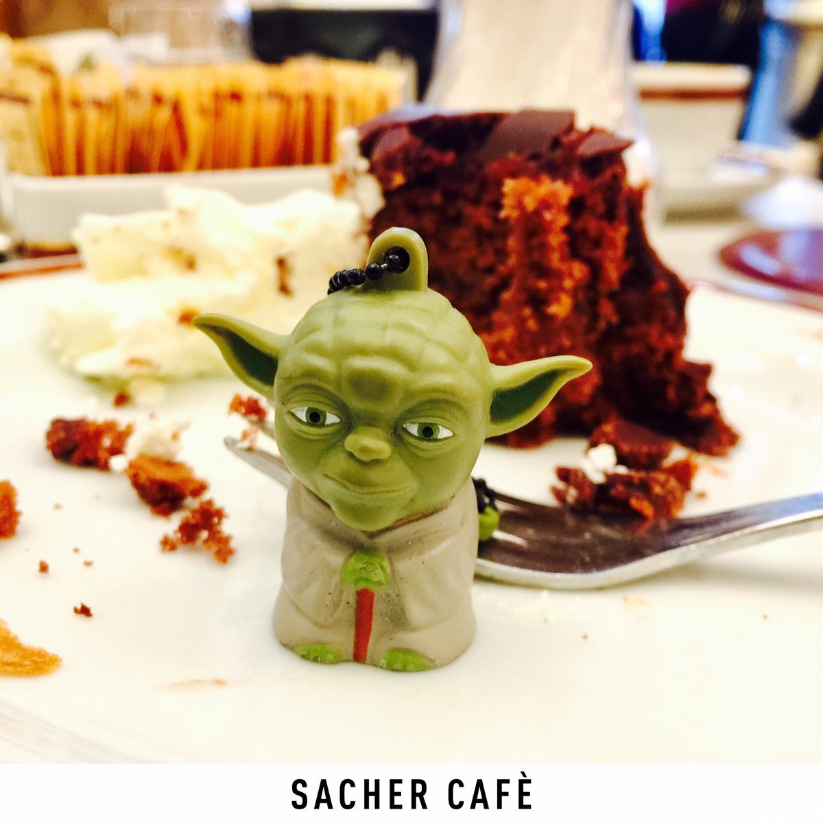 SkylabStudios_'s tweet photo. #yoda tastes the #paradise @HotelSacher in #wien, the #best #sacher #torte in the #world. #usethechocolate #theforcebewithus https://t.co/L6p5w2LpMq