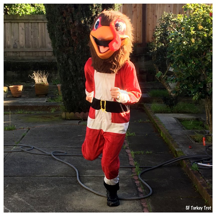 Here comes Turkey Claws, Here Comes Turkey Claws, right down Turkey Claws Lane.