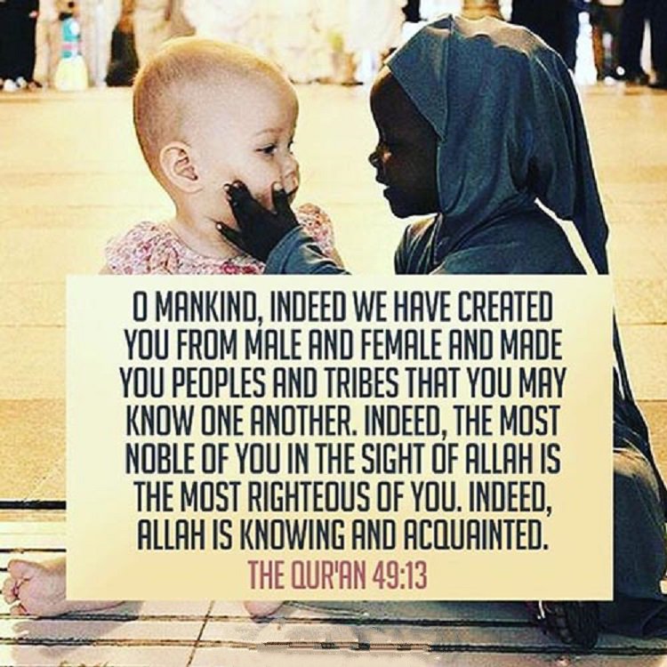 That you have indeed been. Бенджамин франклин женщина. Indeed мем. Golden rules of the lesson. Ea мемы.