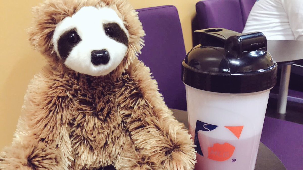Asivrs's tweet photo. Simon :o #SimonTheSloth https://t.co/q0whPZCTmQ