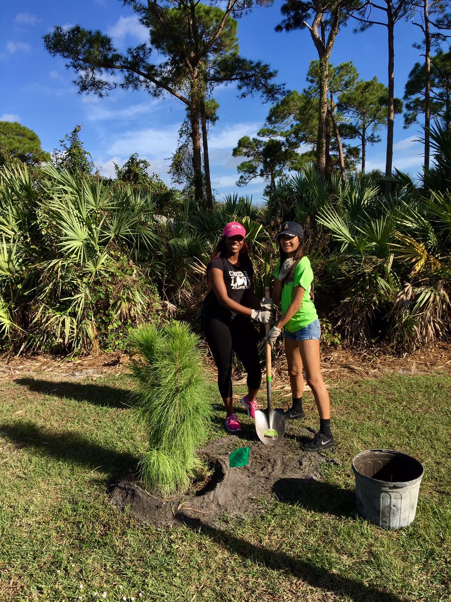 Comm_Greening's tweet photo. Beautiful Saturday + a tree planting in the park = #communitygreening @FNPSonline @alliance4trees @Delray_Dupree @arborday @PalmHealthcare https://t.co/QBoxusOwd5
