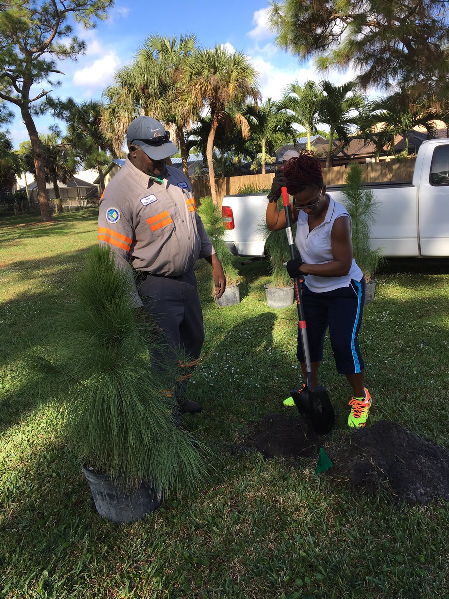 Comm_Greening's tweet photo. Beautiful Saturday + a tree planting in the park = #communitygreening @FNPSonline @alliance4trees @Delray_Dupree @arborday @PalmHealthcare https://t.co/QBoxusOwd5