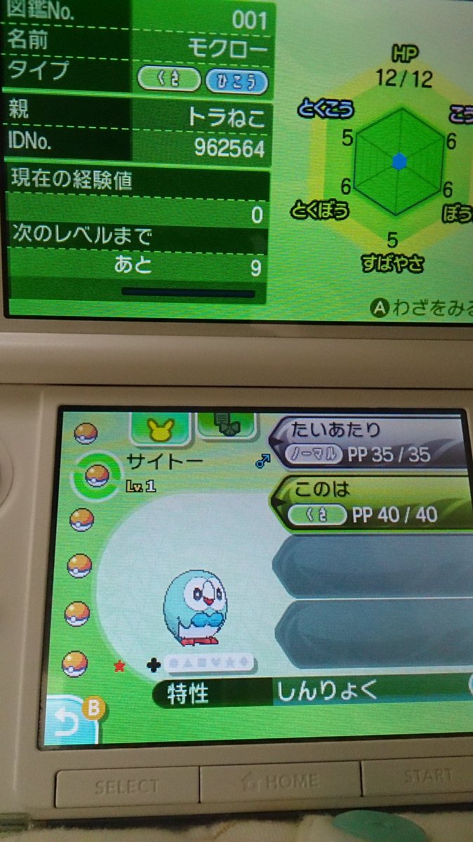 O Xrhsths トラ猫 19年5月3日 永眠 Sto Twitter モクロー厳選しようかとおもって性格だけ調整始めたところで色 モクロー来ちゃった これ王冠案件では