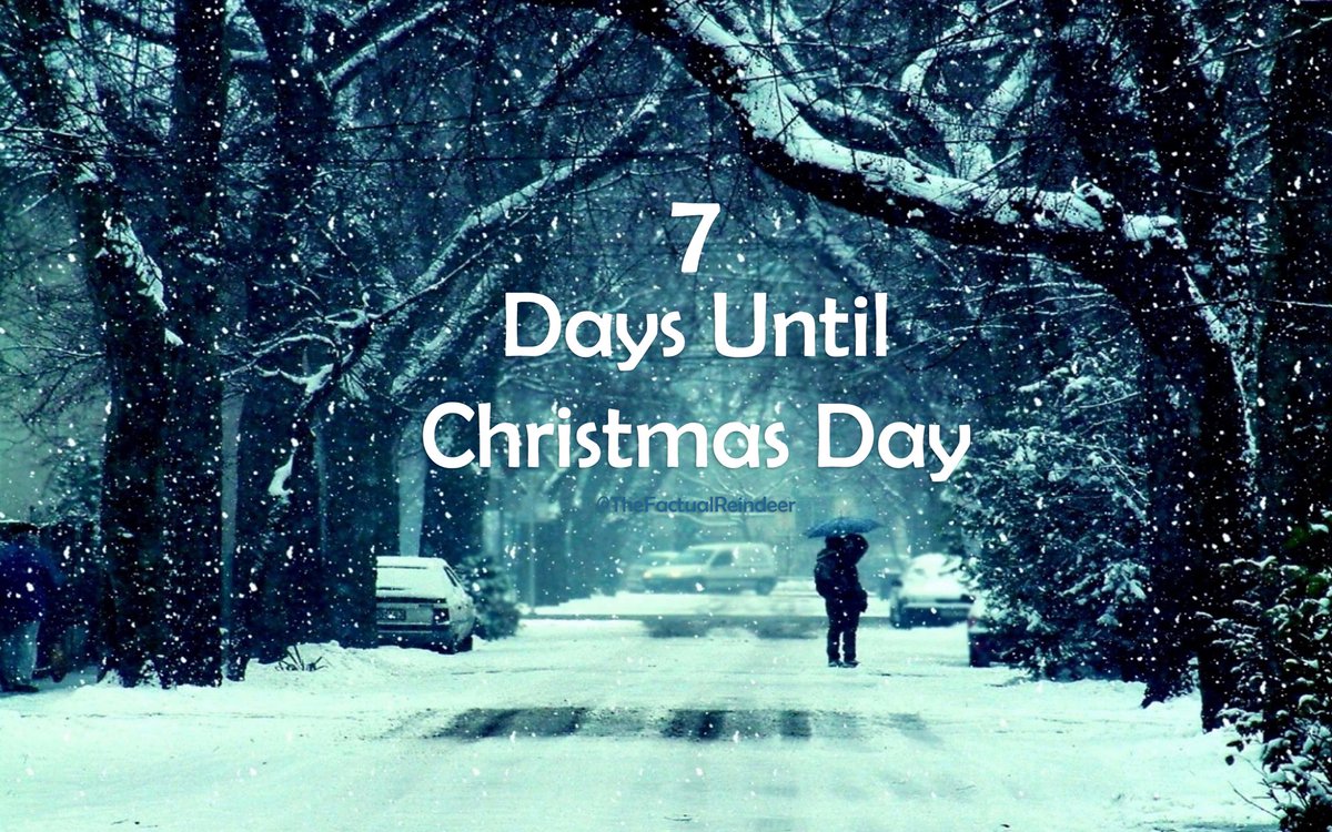 ChristmasFactsC's tweet photo. 7 days until #Christmas 

#christmascountdown https://t.co/ftMR17Idtd