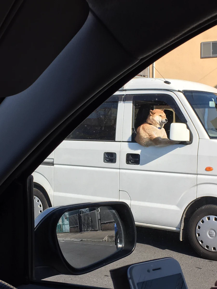 こんな運転手見たこと無い！イケメンが運転席に乗ってて笑うｗｗｗ