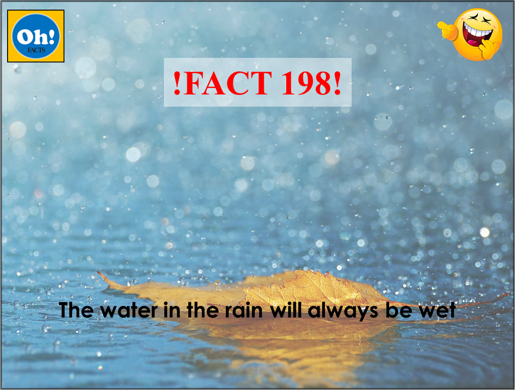 Oh_factz's tweet photo. !FACT 198! #rainy #wet #jokes #fun #laughter #Ohfacts #obvious #mockery #sarcasm #wits #TiredOfFriendZoneChallenge #water #weirddreams https://t.co/epCtS2dYYa