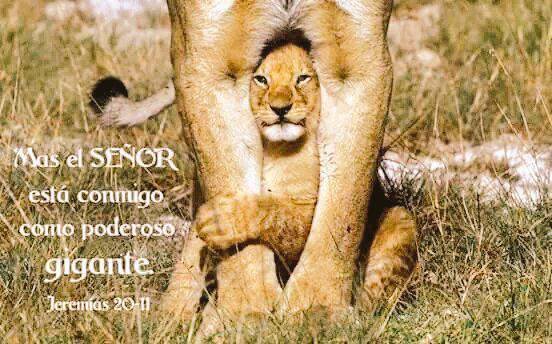 <a href="/jonathangomezrc/">Jonatan Gomez</a>