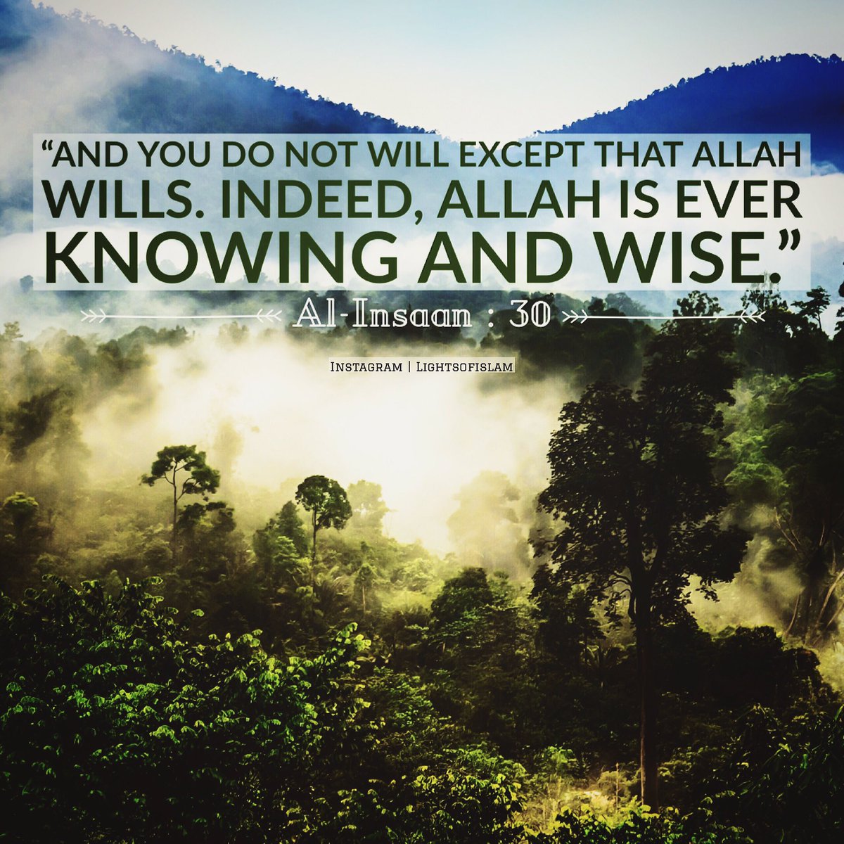 dawn2224's tweet photo. #Quran #Islam #exalted #Allah #الله #Allahisthegreatest #praise_Allah #Lord #turntoAllah #AllahisAllKnowing #FeelQuran #share https://t.co/ijpOL7WTKJ