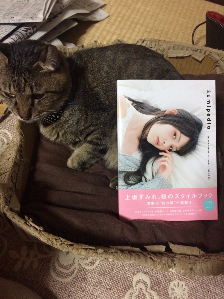 Sumipedia Twitter Search