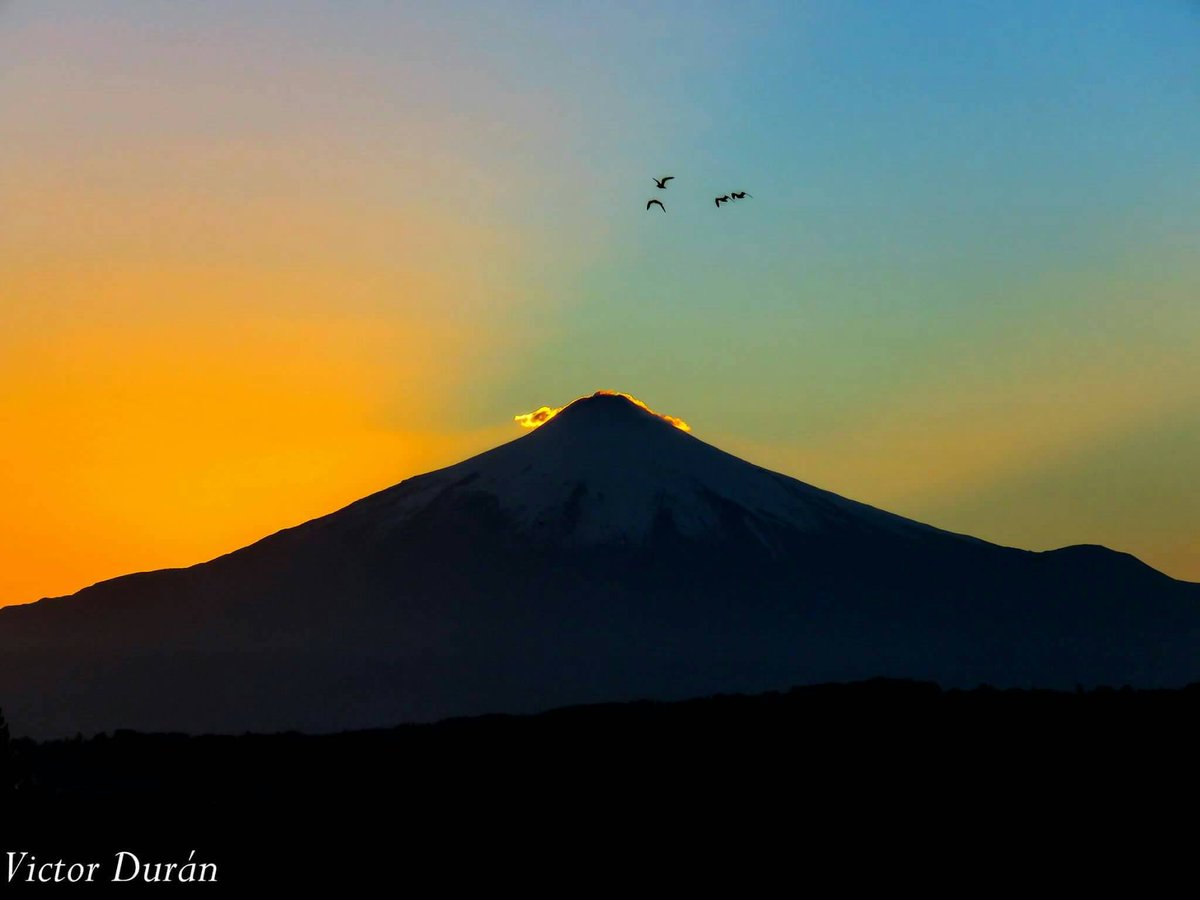 Sur De Chile tweet media