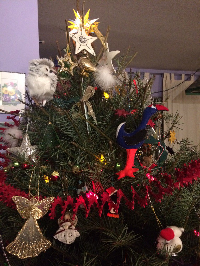 sandyeix's tweet photo. @MsLapwood look what's on our tree! (Hint: it's blue) https://t.co/cSANpu08n5