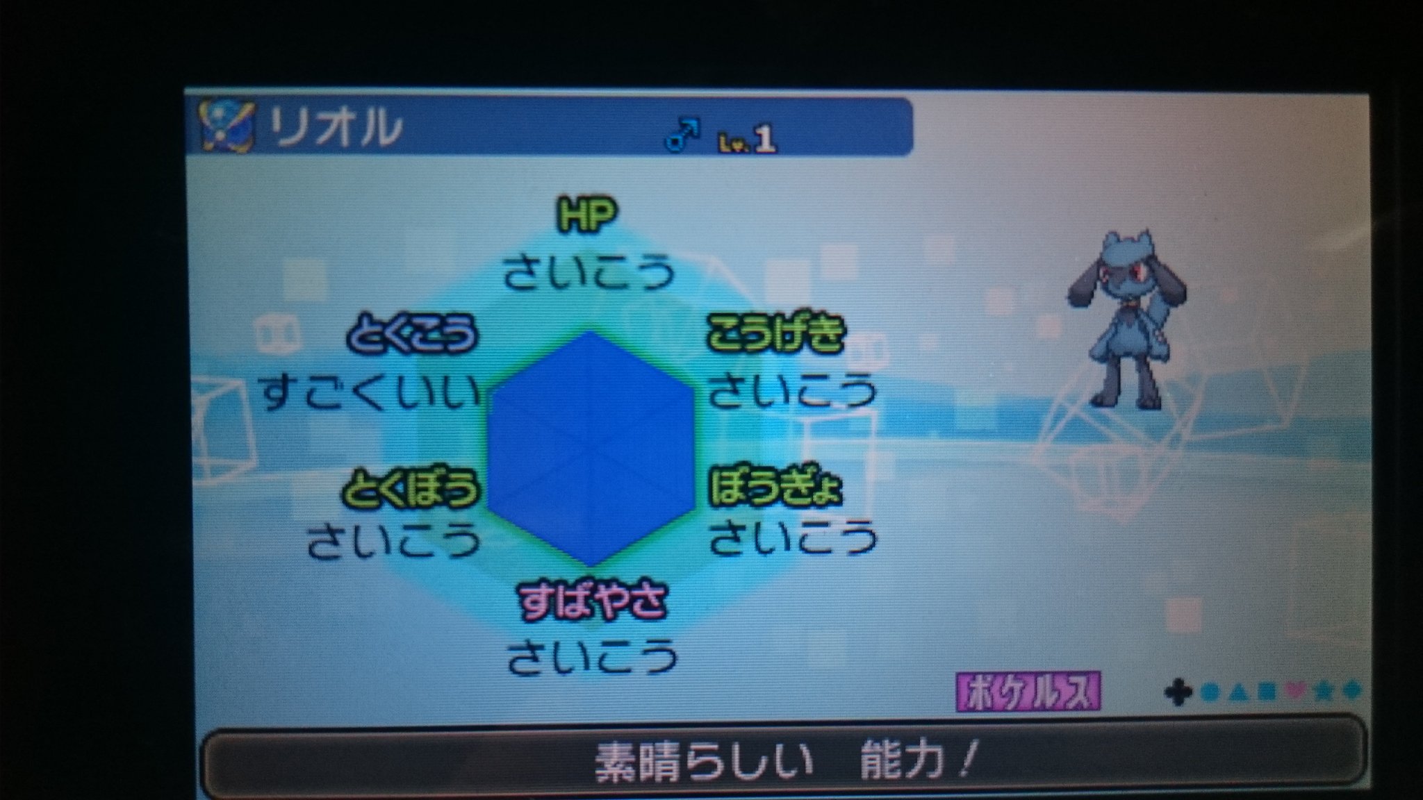 つあん ポケモン配布 リオル ようき Cu5v タマゴ技遺伝 ポケルス付き配布 参加方法はリツイート 締め切りは12月22日午前0時 当選者にはdmで報告します 質問あればリプかdmで