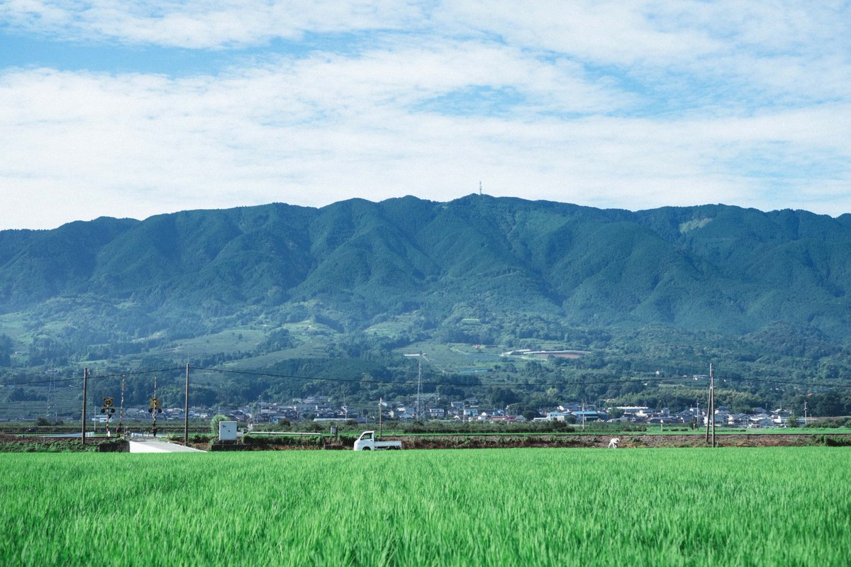 ミシマ社 Ar Twitter Minou Books Cafe 発 今日のミシマガジンでは 福岡県うきは市の本屋さんにご寄稿いただきました 耳納連山に白壁の町並み 美しい本 おいしいコーヒー あぁ 休日にゆっくりと訪れたいです T Co 7cqrqinht1 T