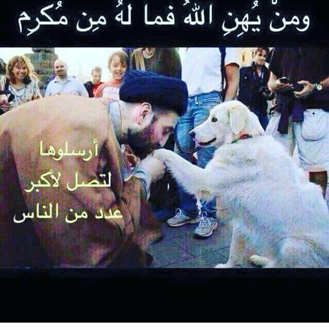 #الهلال_بطل_الشتاء_بامر_الفيفا