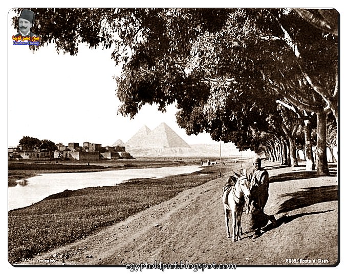   صور نادرة مصر فى عام 1880 -(7)