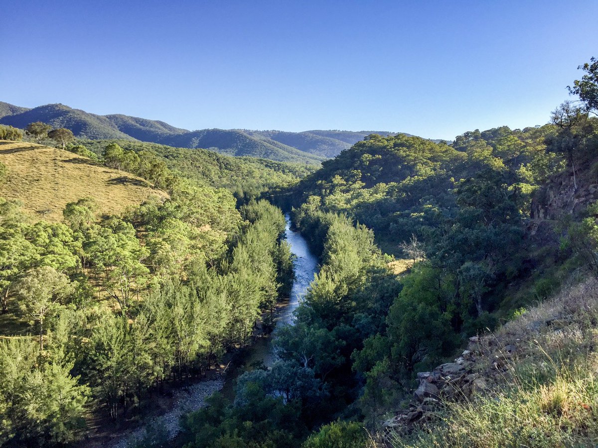 ArthurSargeant's tweet photo. Training for #sixfoot and today's #running views at the #bridletrack are too good not to share #strava #trailrun #hoka https://t.co/b4iu7e6ZcK