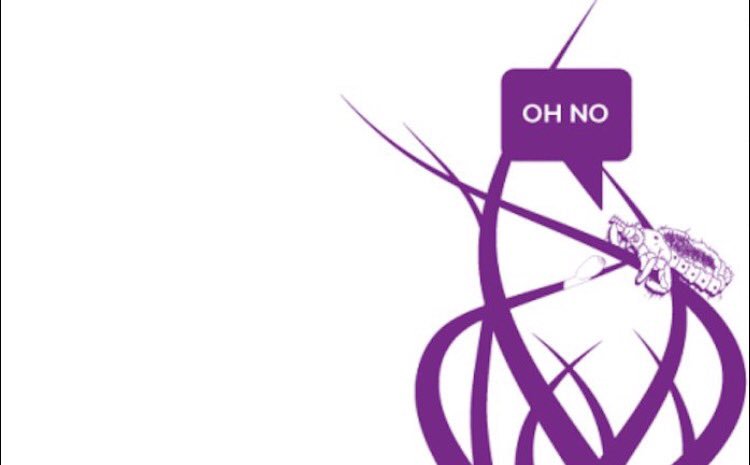 Head lice are most commonly found in #schoolkids aged 4-11, but anyone with hair can attract them, including adults! #lice #headlice