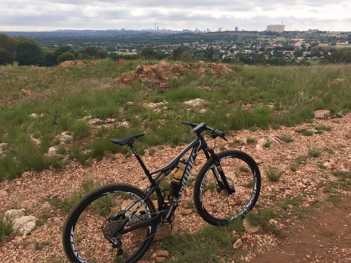 The placidity of a solo bike ride on <a href="/BraamiesSpruit/">Braamfontein Spruit</a> today. #JoziGreenLung