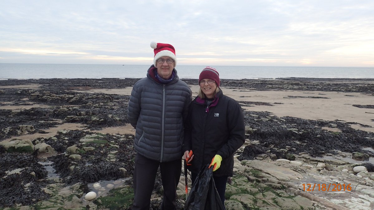 Yorkshire Wildlife Trust - Marine - Living Seas tweet media