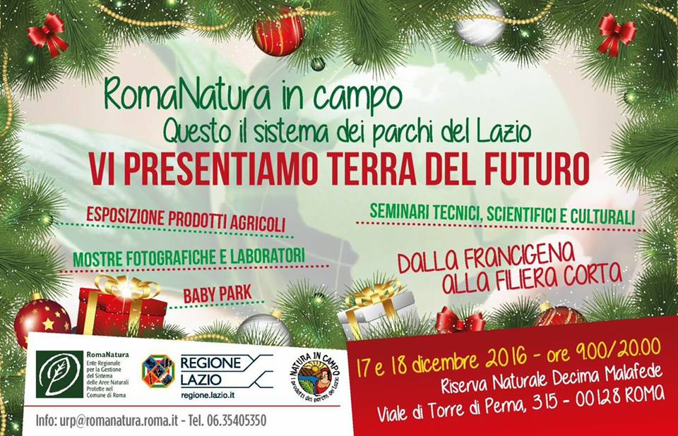 Municipio 13 Notizie tweet media