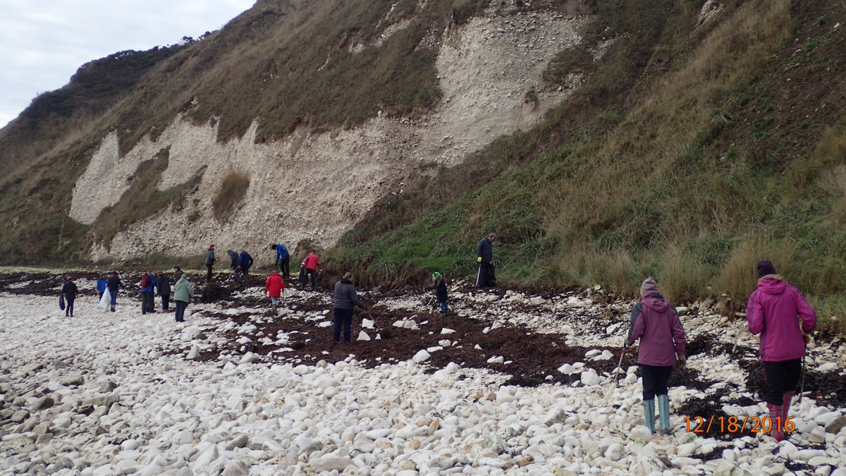 Yorkshire Wildlife Trust - Marine - Living Seas tweet media