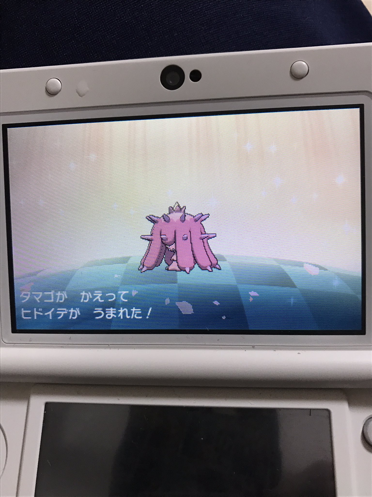 ぱんだまん 色違い勢 色違い１日で2体もでるとか笑 手持ちポケモン色違いチャレンジ笑 ポケモン サンムーン ミミッキュ ヒドイデ ひかるおまもり 国際孵化 色違い T Co Qyvu8tazjl Twitter