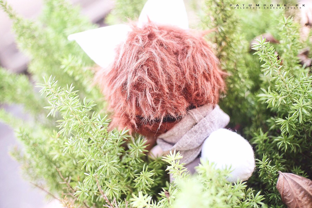 BabyGot7shop's tweet photo. #rabbitteam #teamrabbit #teambunny #GOT7 #ตลาดกัซ #ชัคกี้ #ตลาดนัดอากาเซ #babygot7shop https://t.co/ZDiTidIt6T