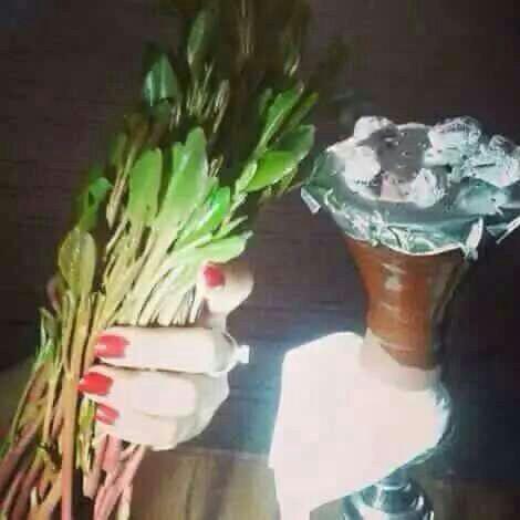 aqejli (@qajar44991) on Twitter photo 