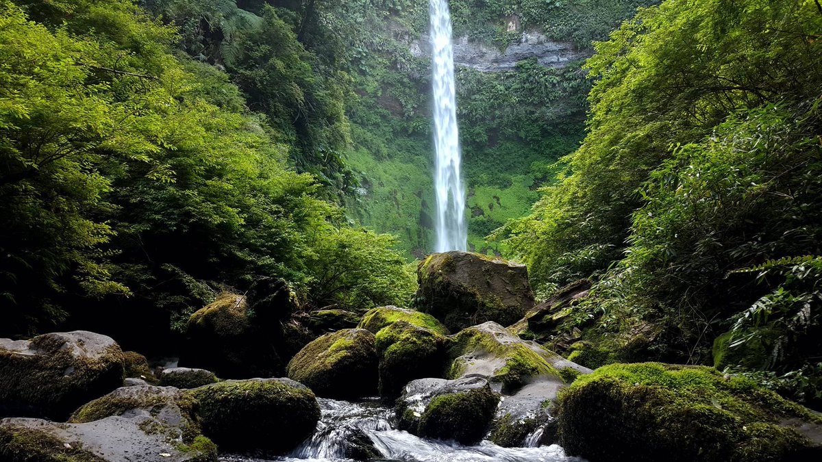 Sur De Chile tweet media