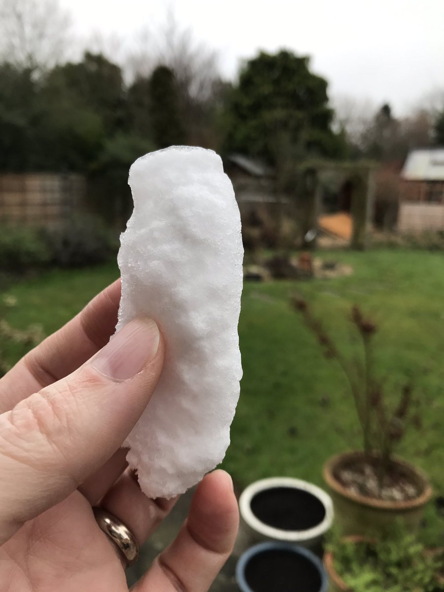 Binky_2301's tweet photo. It's snowing! #thismaynotbetrue #imayhaveknockedthisoffthefreezer https://t.co/Pwk89pIxTK